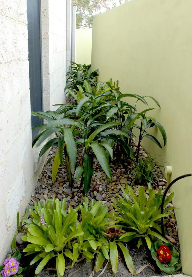By The Beach B&B Self Contained Apartments Sanctuary Point Exterior foto